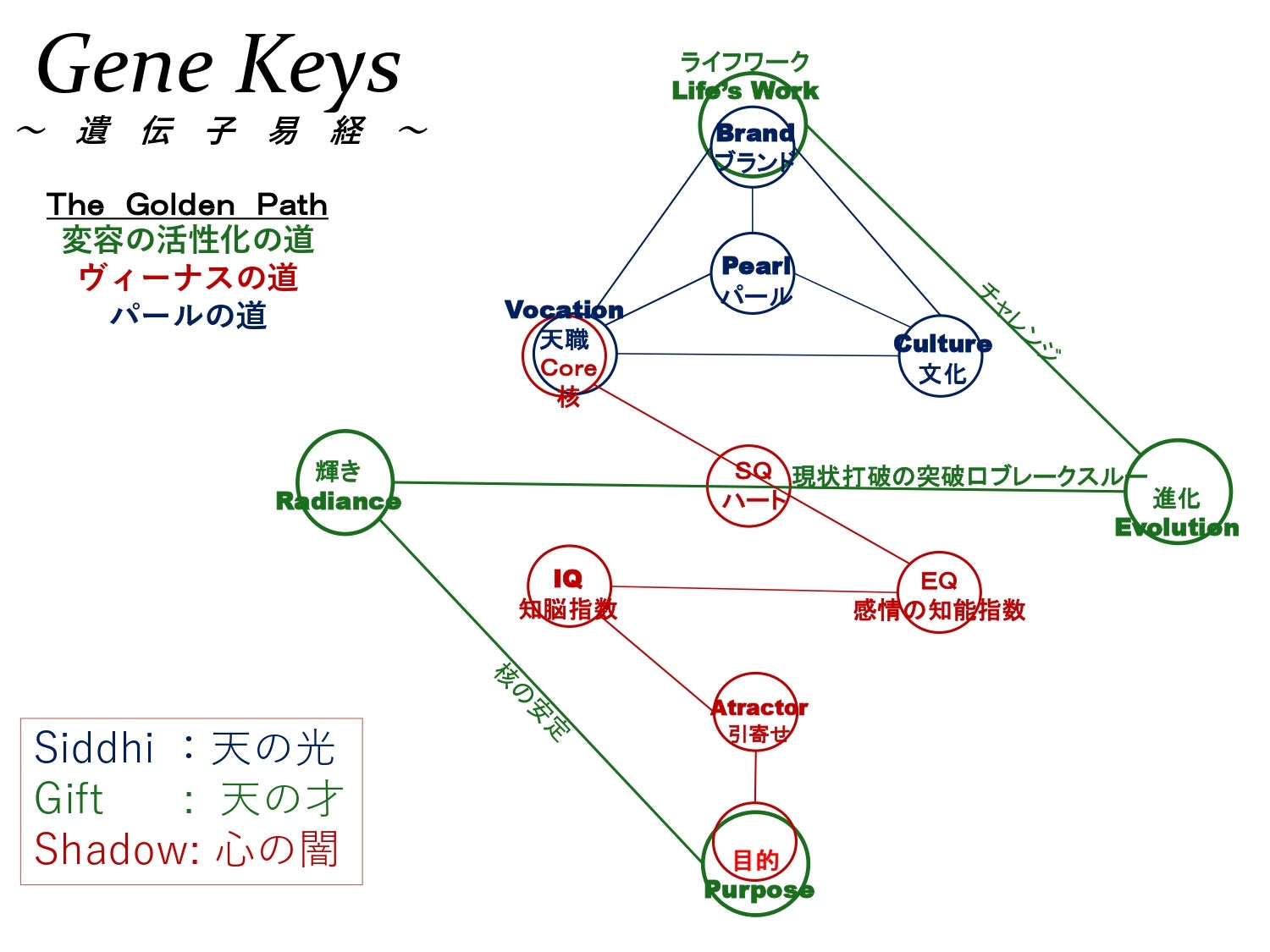 遺伝子易経～スタートガイド | フェイシャルハーモニーと遺伝子易経