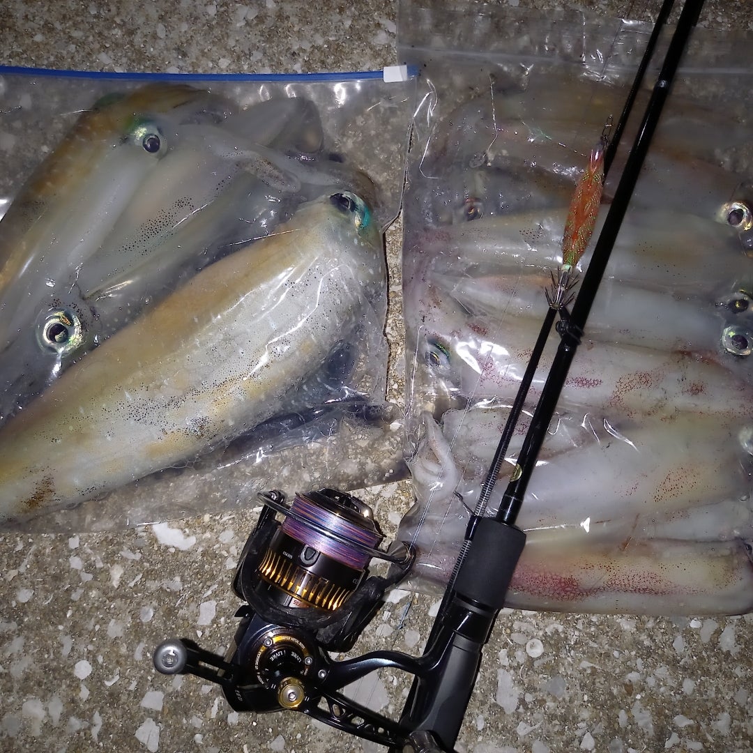 ヤマガブランクス メビウス710Lタックルインプレッション！ | 対馬の海