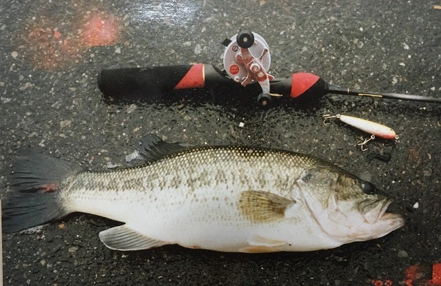 トップウォーターロッドあれこれ | 温故知故