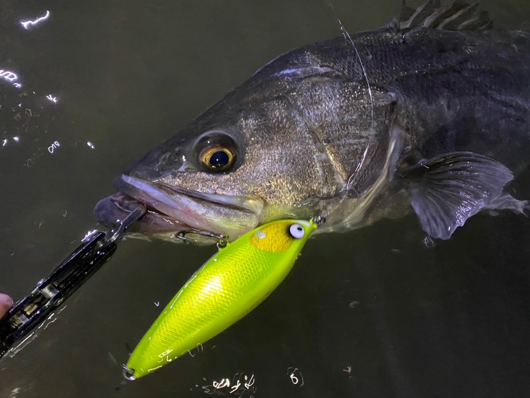 デカスプーナーの商品情報 | BariCraft Blog