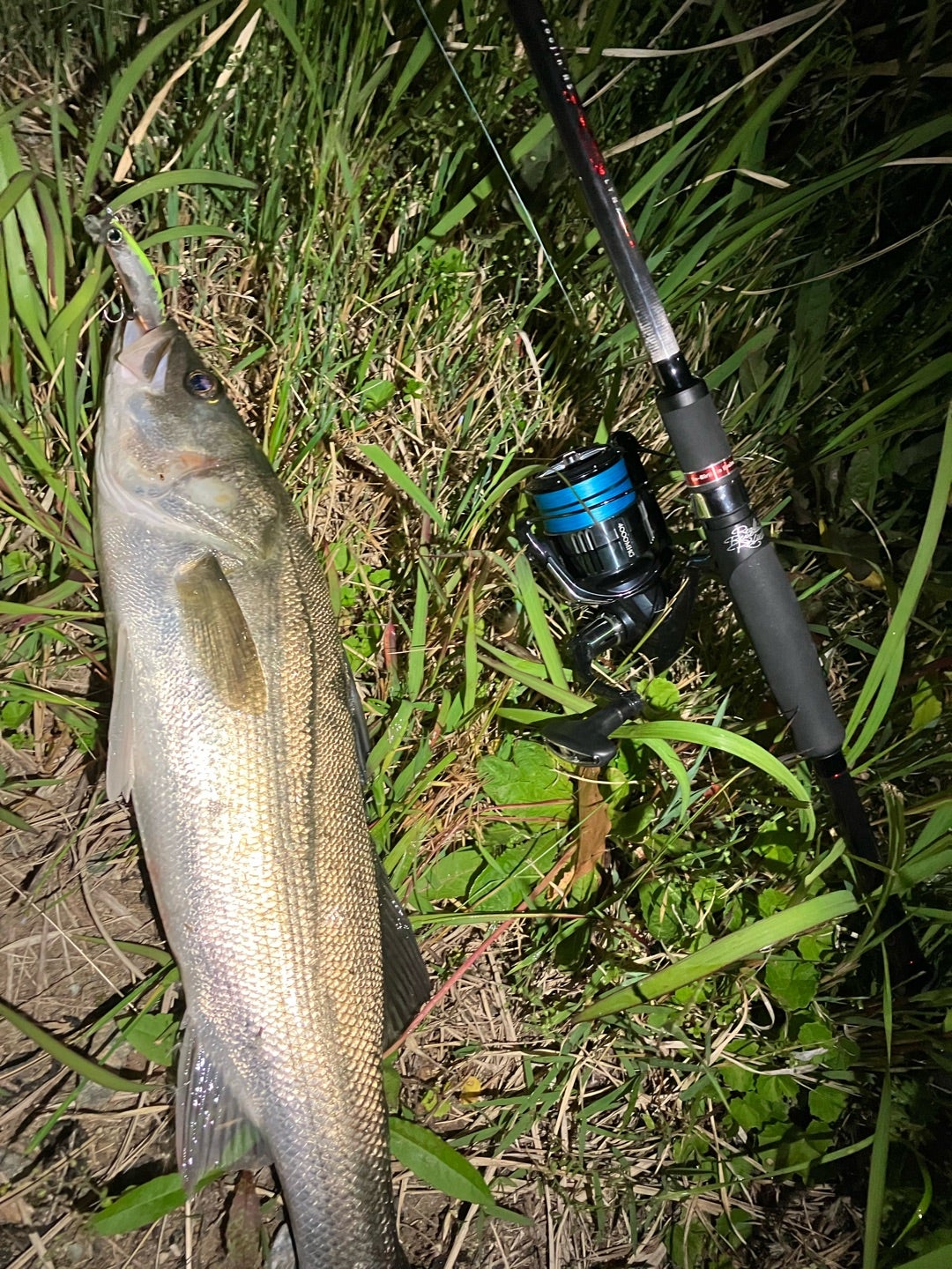 ロッドインプレ 〜foojin'RS リンクス93M〜 | ONE CAST Angler's Guide