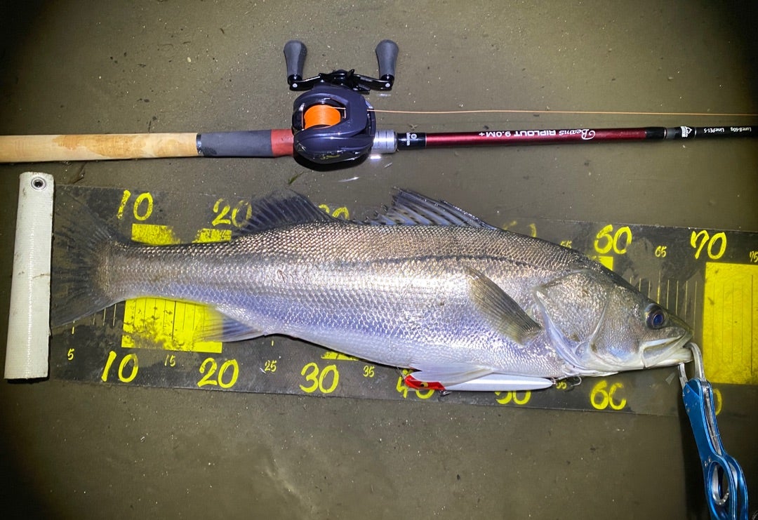 フィッシュマン ビームスリプラウト9.0M➕ 利根川シーバスゲット