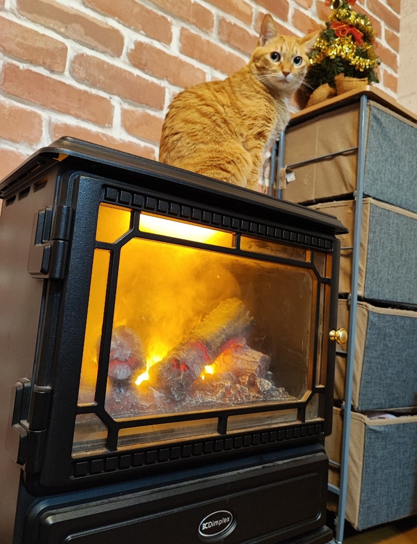 暖炉風ファンヒーターの選び方♪ | 子育て主婦の芝生LIFE