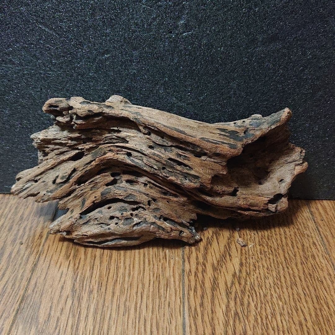 流木をもっと使ってほしい - CAMPFIRE (キャンプファイヤー)