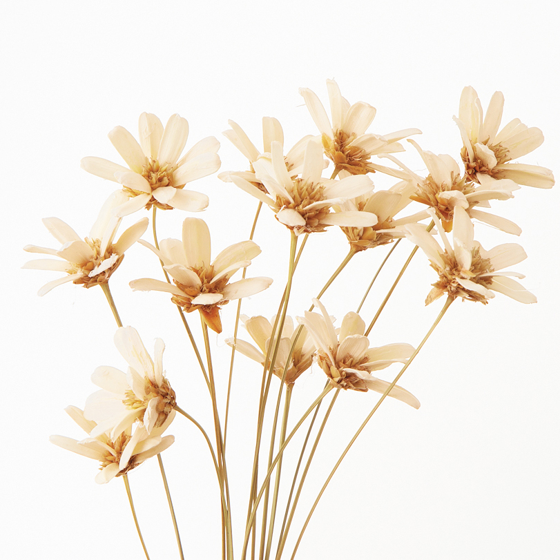 即日☆【ハンドメイドフラワー】大地農園/プチフラワー 15本 白/32140