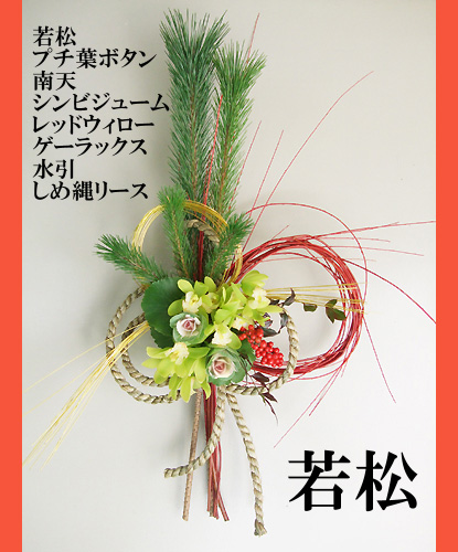 若松、切り枝 生花/即納】◇若松 2等 - 花材通販はなどんやアソシエ