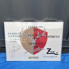 m29272387788_1.jpg?1762244856