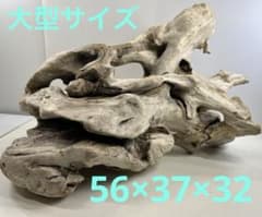 m22068639120_1.jpg?1710946172