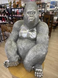 m22183250151_1.jpg?1763365641