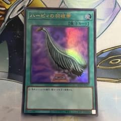 ハーピィの羽根箒 ウルトラレア QCCP - メルカリ