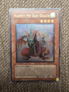 遊戯王 ハーピィズペット仔竜 英語版 レリーフ 1st - メルカリ