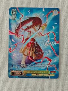 ヴァイスシュヴァルツFAIRYTAIL仲間を守る為の剣エルザSEC - メルカリ