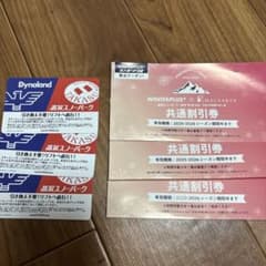 高鷲スノーパーク ダイナランド 共通リフト券 3枚セット - メルカリ