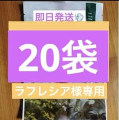 yosaファインハーブ 20 - メルカリ