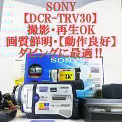 ソニーDCR-TRV30 【動作良好】MiniDV ビデオカメラ ダビングに最適