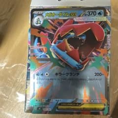 メガオーダイル eX ポケモンカードメカオーダイルEX、370HP