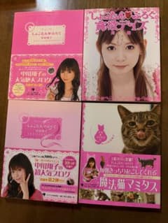 中川翔子 ブログ写真集 4冊セット - メルカリ
