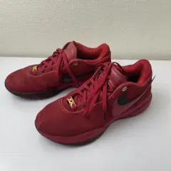 2026年最新】ナイキリヴァプールの人気アイテム - メルカリ