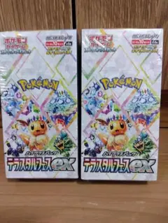 2026年最新】テラスタルフェスex BOXの人気アイテム - メルカリ