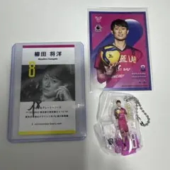 2026年最新】柳田将洋 サインの人気アイテム - メルカリ