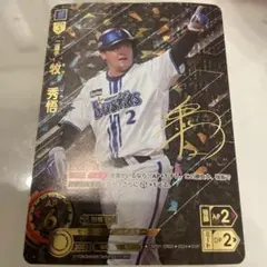 2026年最新】ドリームオーダー ssp 牧の人気アイテム - メルカリ