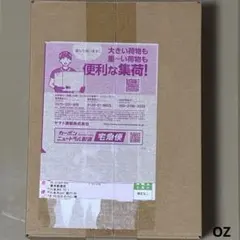 2026年最新】テラスタルフェスex box シュリンク付き 6の人気アイテム