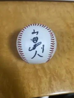 2026年最新】山田哲人サインボールの人気アイテム - メルカリ