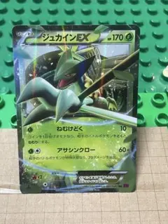 2026年最新】mジュカインexの人気アイテム - メルカリ