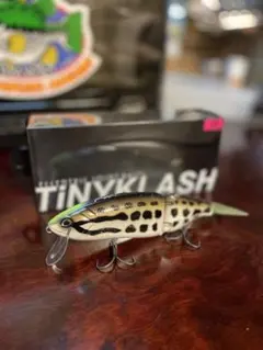 2026年最新】タイニークラッシュ スネークヘッドの人気アイテム - メルカリ