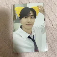 2026年最新】コアラのマーチ スリーブの人気アイテム - メルカリ