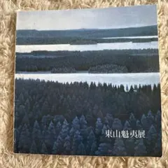 2026年最新】東山魁夷 図録の人気アイテム - メルカリ