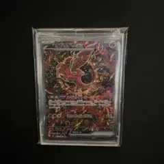 2026年最新】オドリドリex SARの人気アイテム - メルカリ