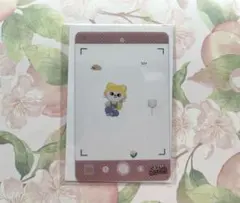 2026年最新】skzoo ポップアップ クリアカードの人気アイテム - メルカリ