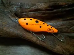 2026年最新】レコード ルアー ホラーの人気アイテム - メルカリ