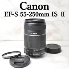 2026年最新】canon 55-250の人気アイテム - メルカリ