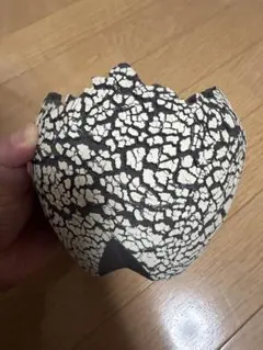 2026年最新】kone fangの人気アイテム - メルカリ