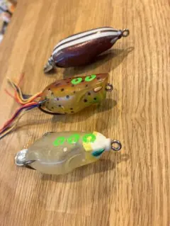 2026年最新】ディープフォレスト フロッグの人気アイテム - メルカリ