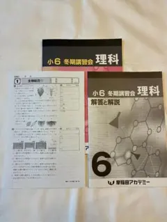 2026年最新】早稲アカ 冬期講習の人気アイテム - メルカリ