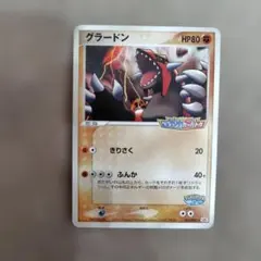 2026年最新】ポケパーク グラードンの人気アイテム - メルカリ