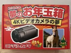 2026年最新】4Kビデオカメラの夢の人気アイテム - メルカリ