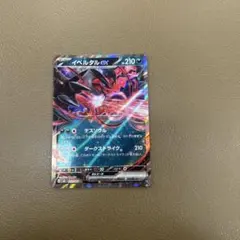 2026年最新】イベルタルex urの人気アイテム - メルカリ