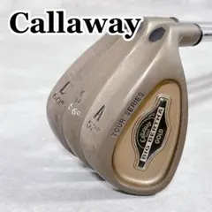 2026年最新】ビッグバーサ アイアン レディースの人気アイテム - メルカリ