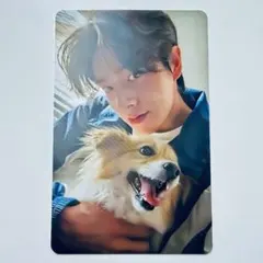 ENHYPEN アンケート トレカ JAKE ジェイク - メルカリ