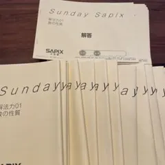 2026年最新】解法力 サピックスの人気アイテム - メルカリ