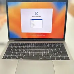 2026年最新】macbook pro 2017/13インチ/メモリ16gb/ssd 512gbの人気