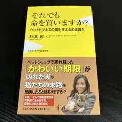 2026年最新】杉本彩の人気アイテム - メルカリ