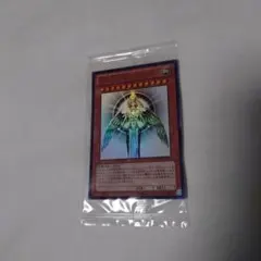 2026年最新】未開封 通知 ホルアクティの人気アイテム - メルカリ