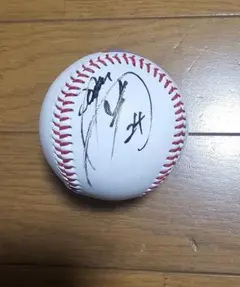 2026年最新】康晃 サインボールの人気アイテム - メルカリ