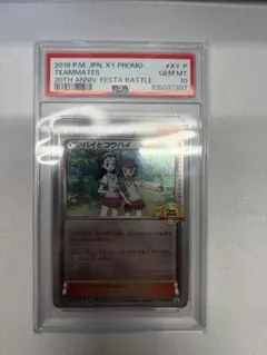 2026年最新】センパイとコウハイ 20thの人気アイテム - メルカリ