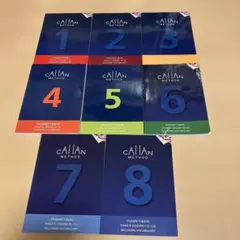 2026年最新】callan methodの人気アイテム - メルカリ